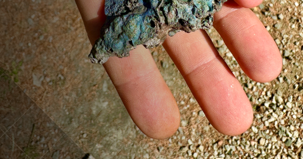 Geologická exkurze na odval dolu Jan