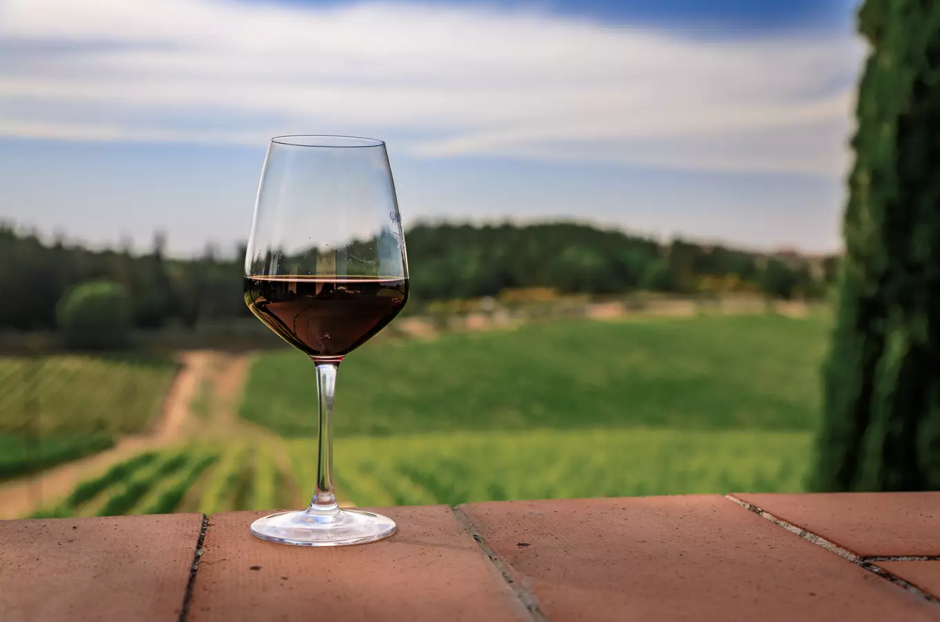Vinobraní v České Třebové 2026
