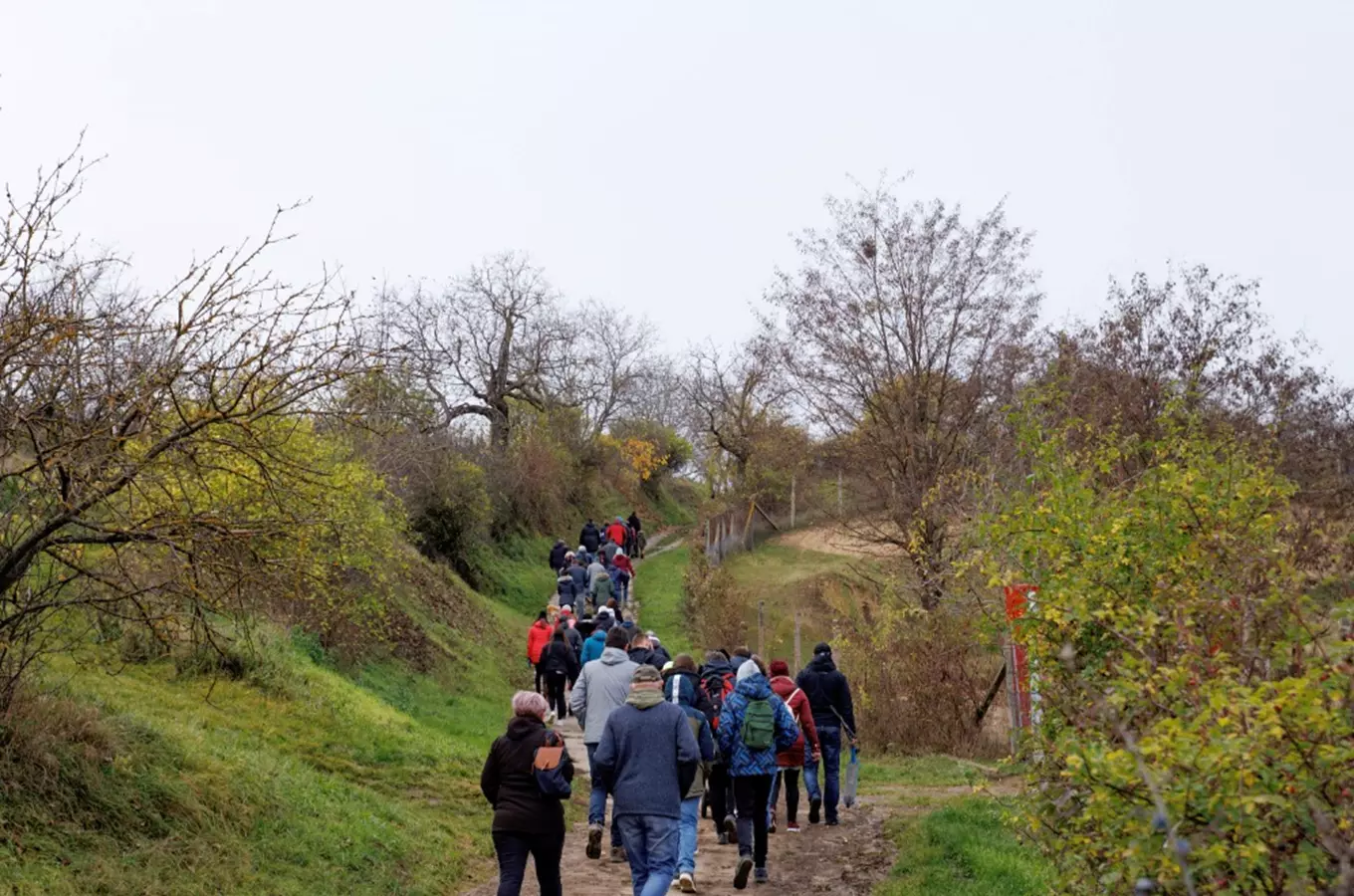 Podzimní šlapka Velké Pavlovice 2026