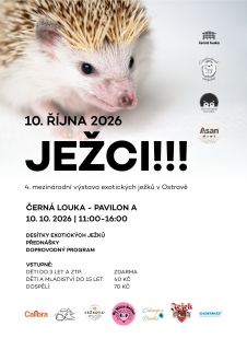 Ježci!!! - 4. mezinárodní výstava exotických ježků v Ostravě