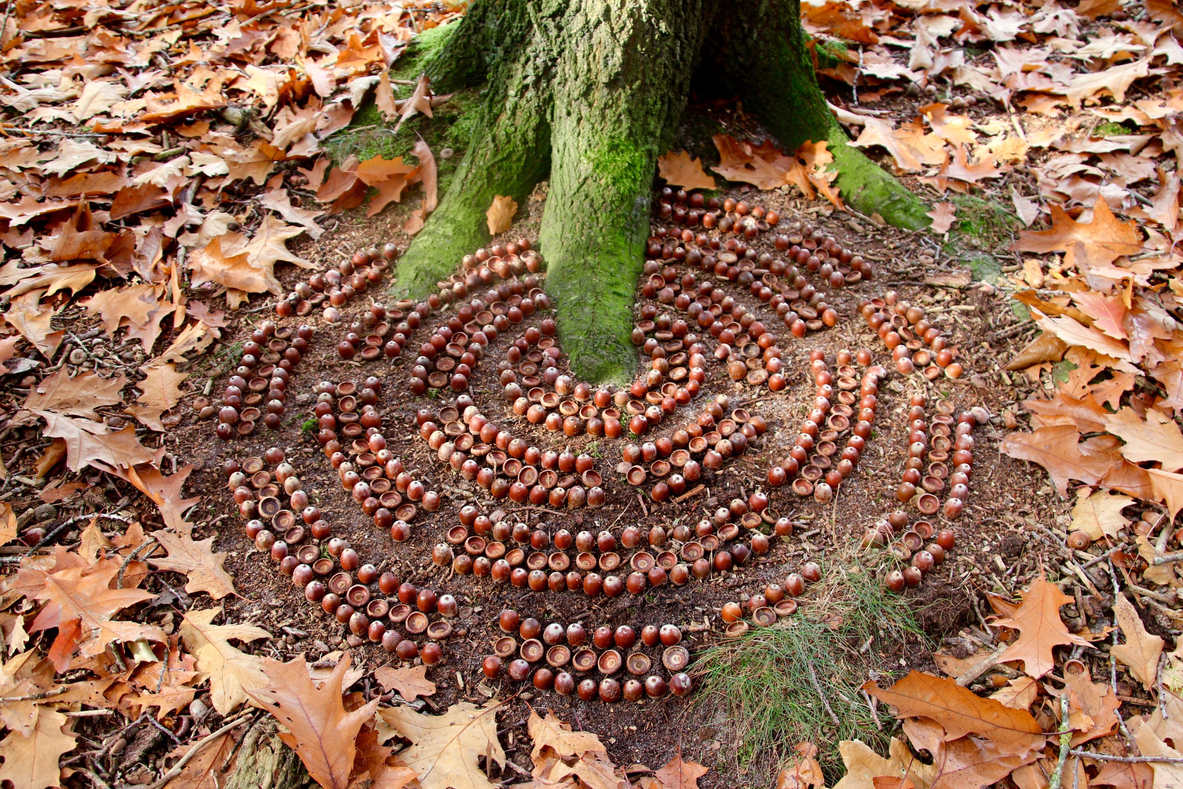 Otevřená zahrada – Festival Land Artu