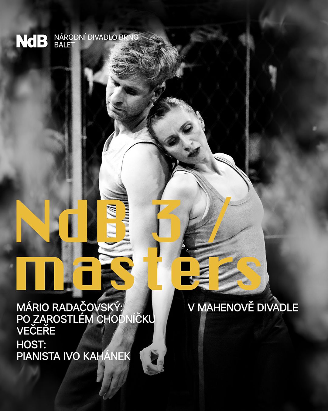NdB 3 / Masters: Po zarostlém chodníčku, Večeře