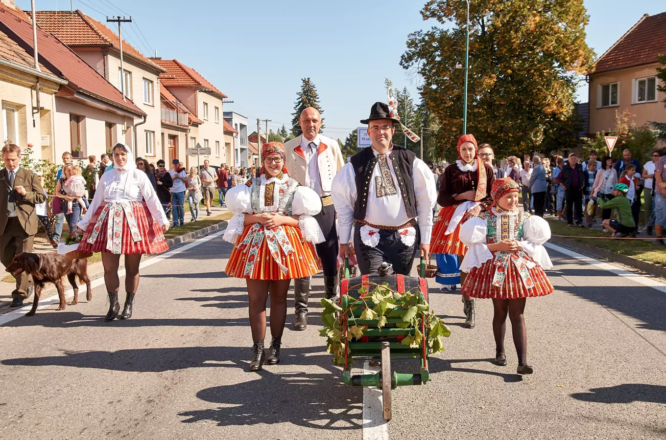 Bzenecké krojované vinobraní 2026