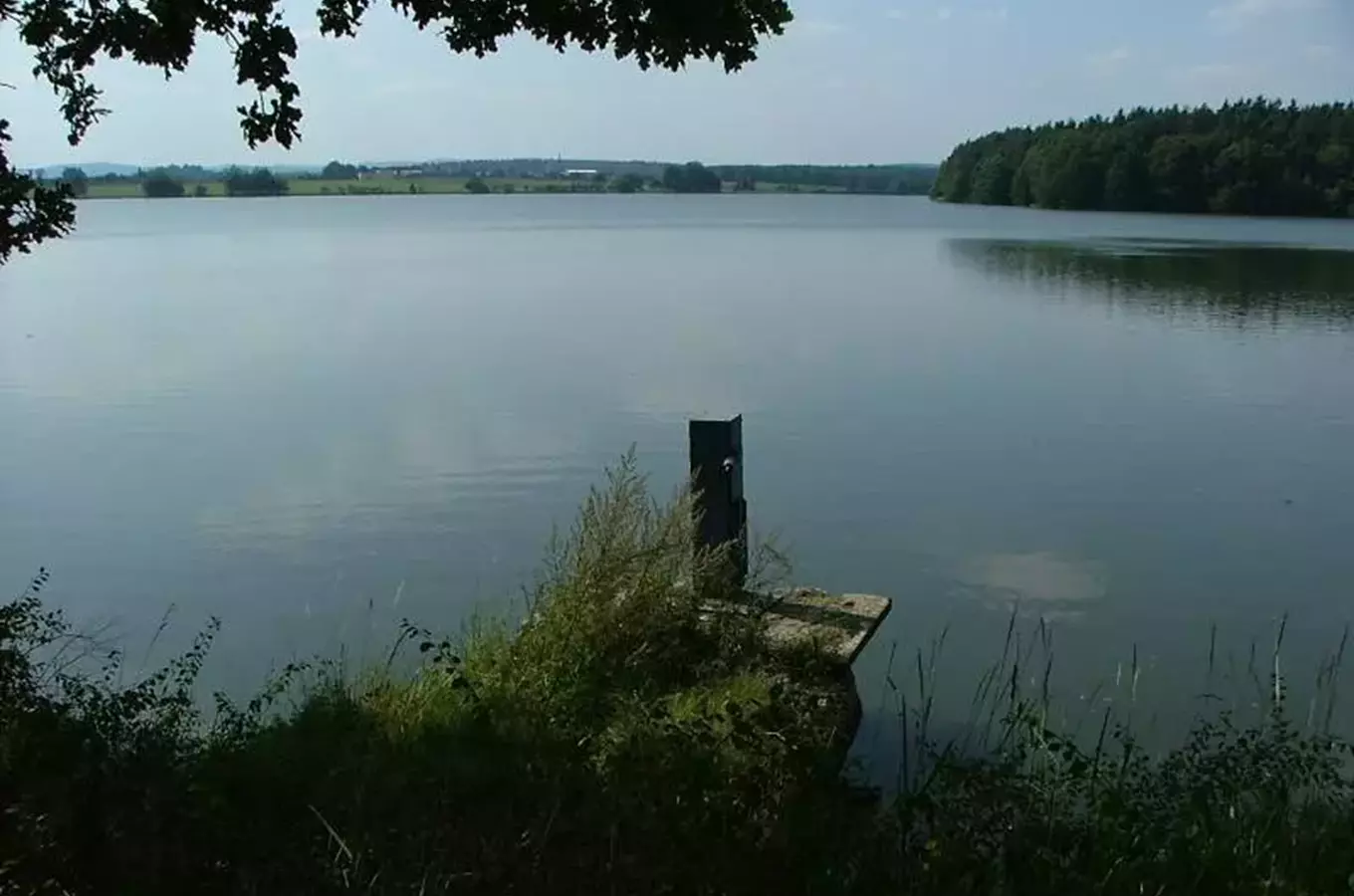 Výlov rybníka Regent 2026