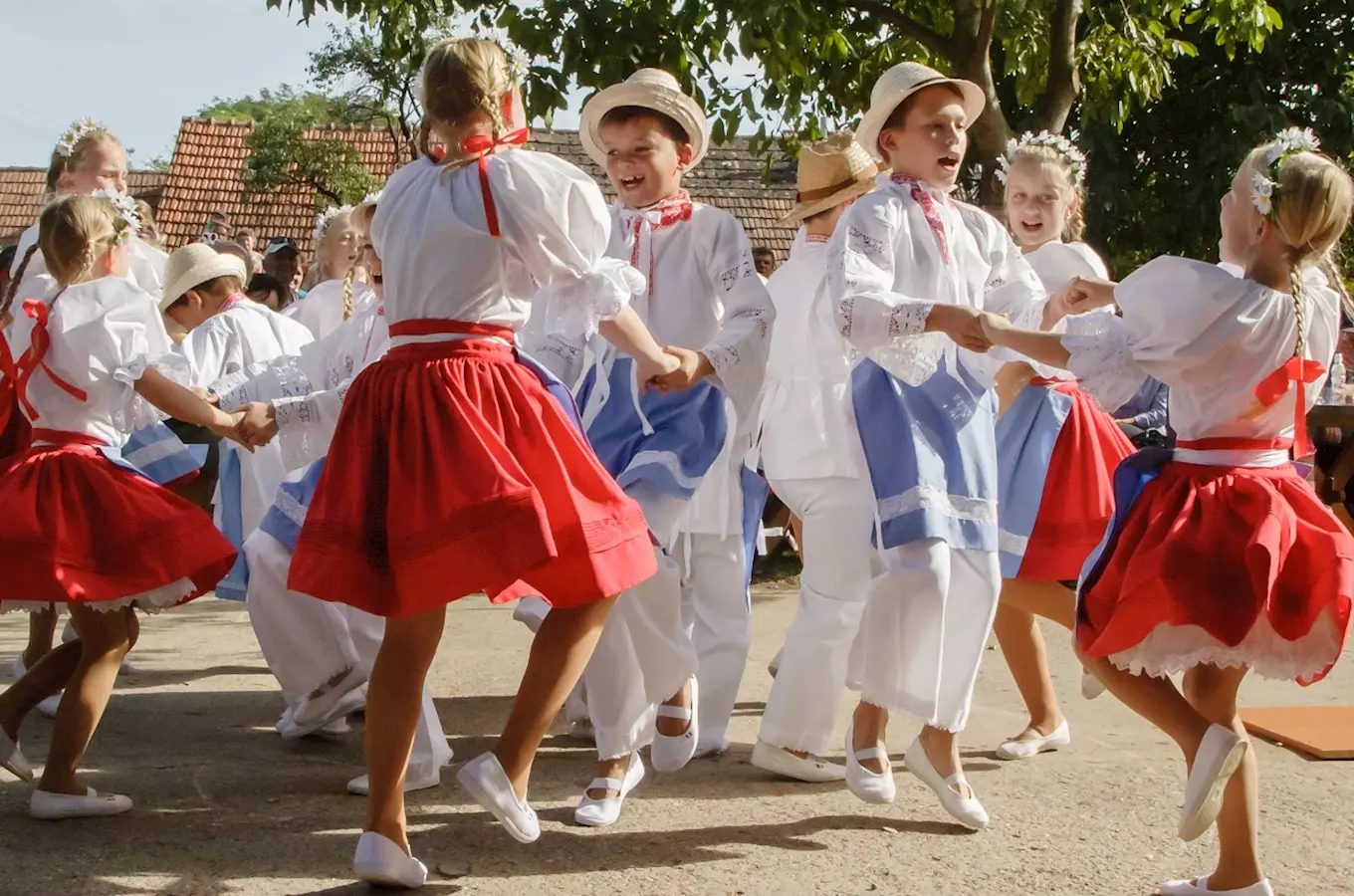 Tradiční krojované vinobraní pod Nechory 2026