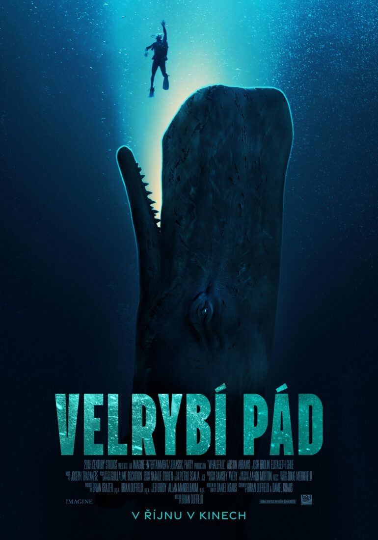 Velrybí pád