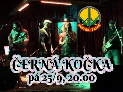 Černá kočka