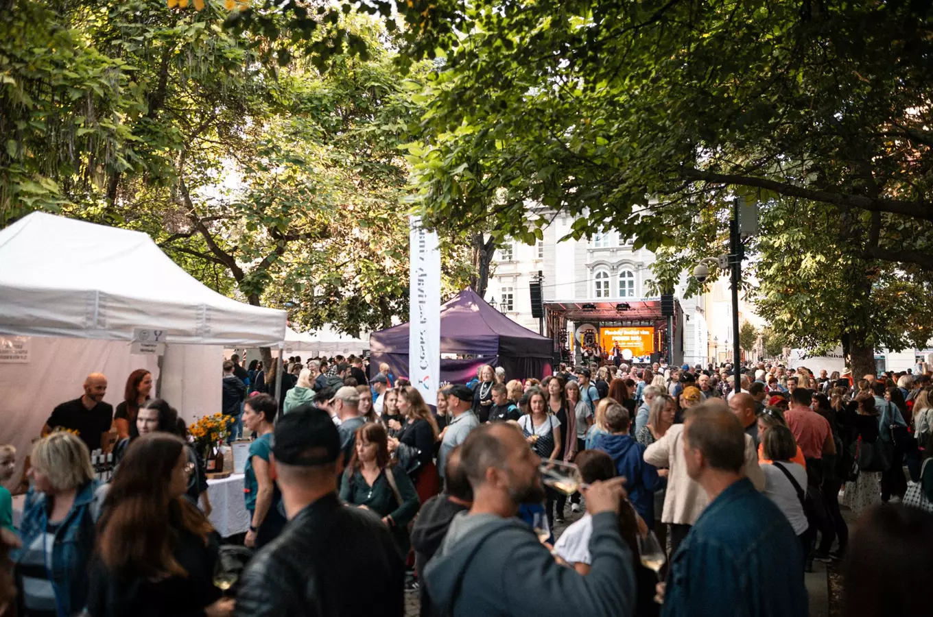 Plzeňský podzimní festival vína 2026