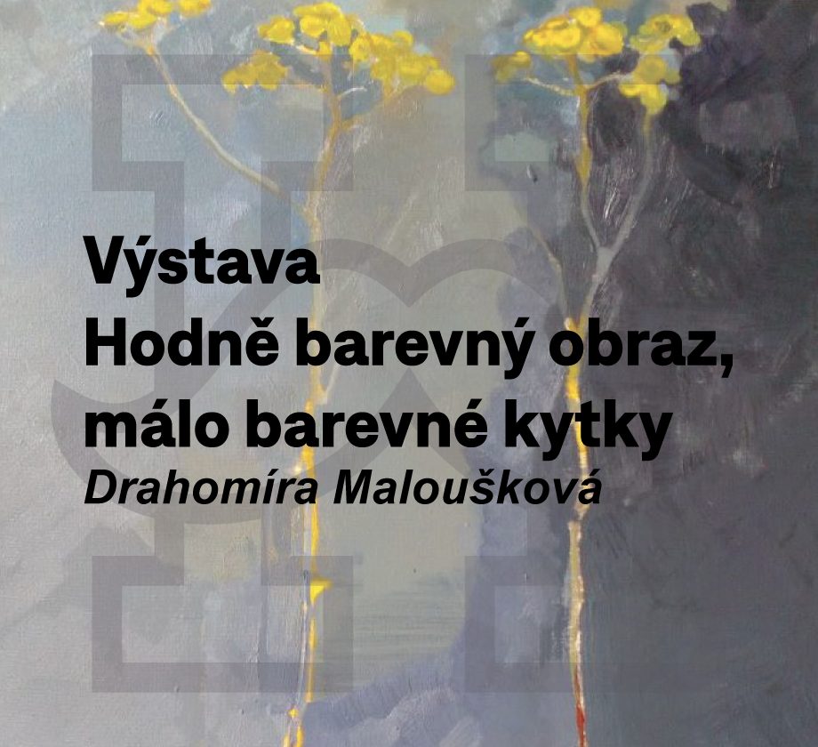 Hodně barevný obraz, málo barevné kytky