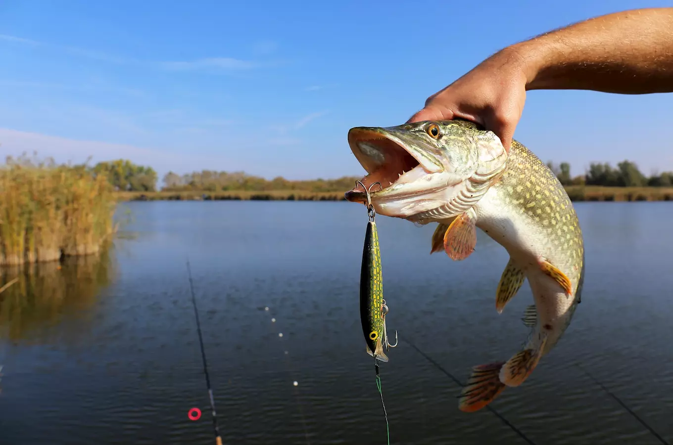 For Fishing 2027 – Rybářský veletrh v Praze