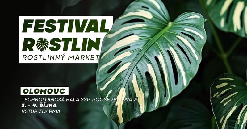 Festival Rostlin