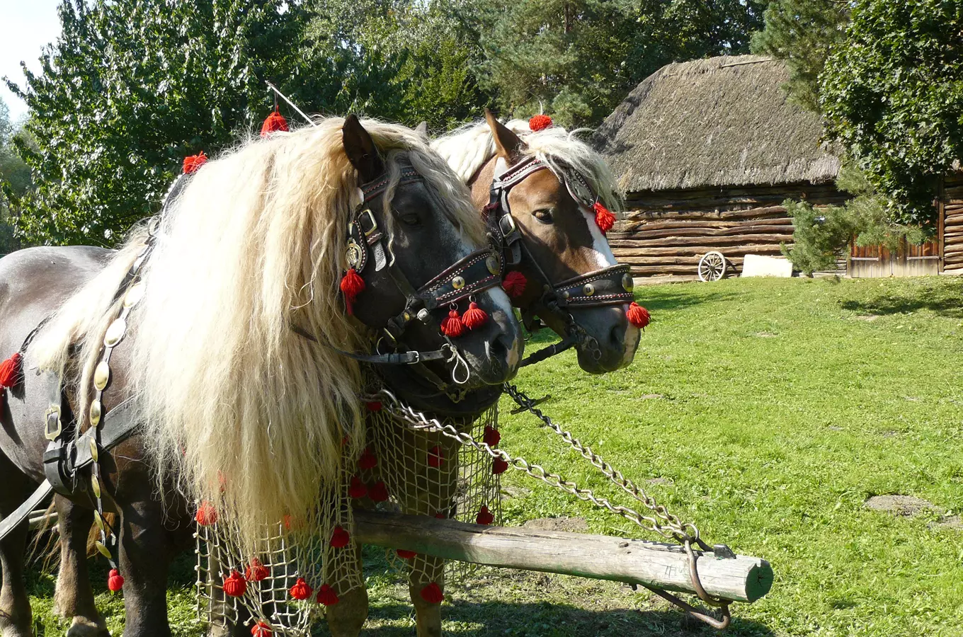 Podzim na dědině – program pro školy