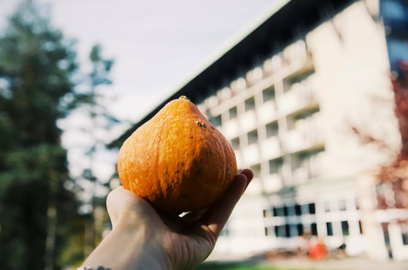 Dýňové tvoření v Hotelu Medlov 2026