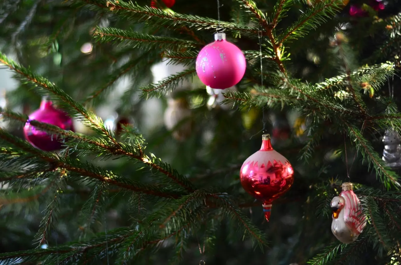 Advent v Levíně 2026