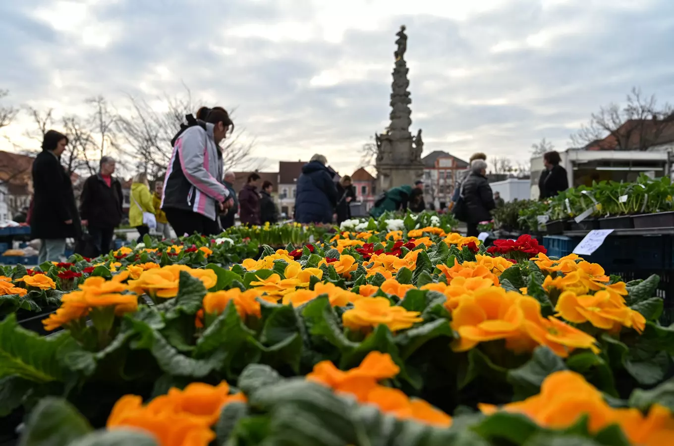 Tradiční městské trhy Čáslav – velké trhy na náměstí Jana Žižky z Trocnova 2026
