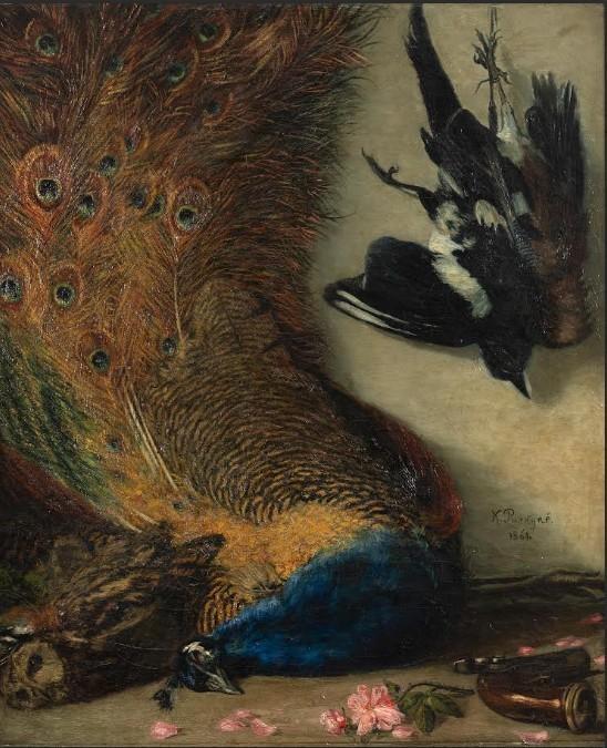 Roman Musil (ředitel Západočeské galerie v Plzni): Karel Purkyně Zátiší s Pávem (Cikánova lovecká kořist) z roku 1861