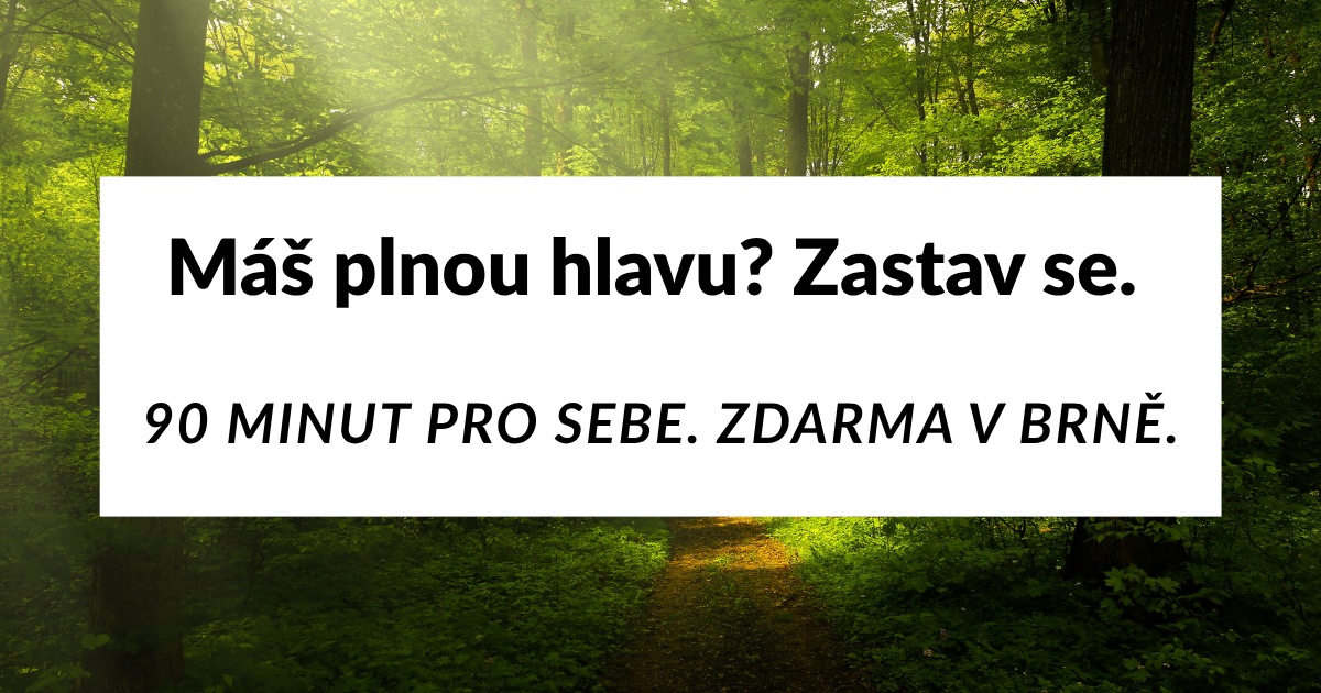 Máš plnou hlavu? Zastav se.