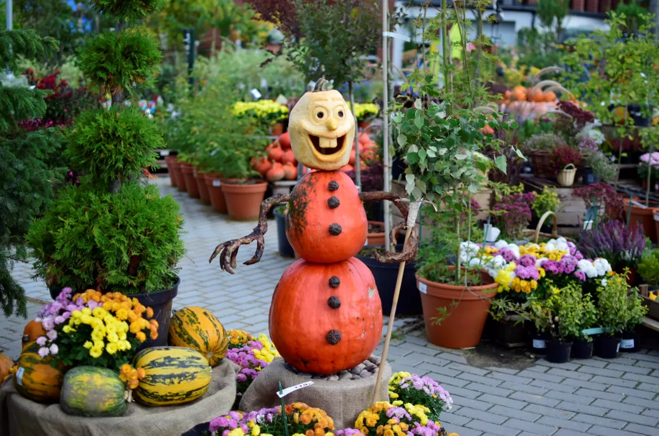 Dýňové slavnosti v zahradnictví Flora