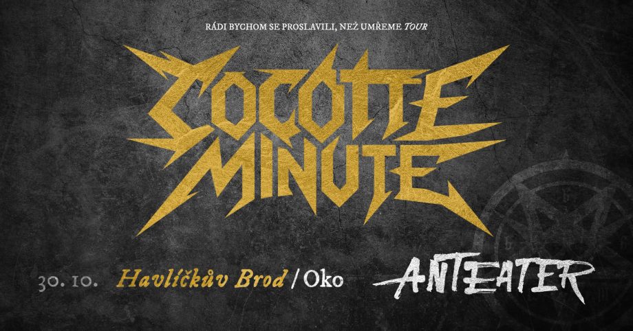 Cocotte Minute / Anteater