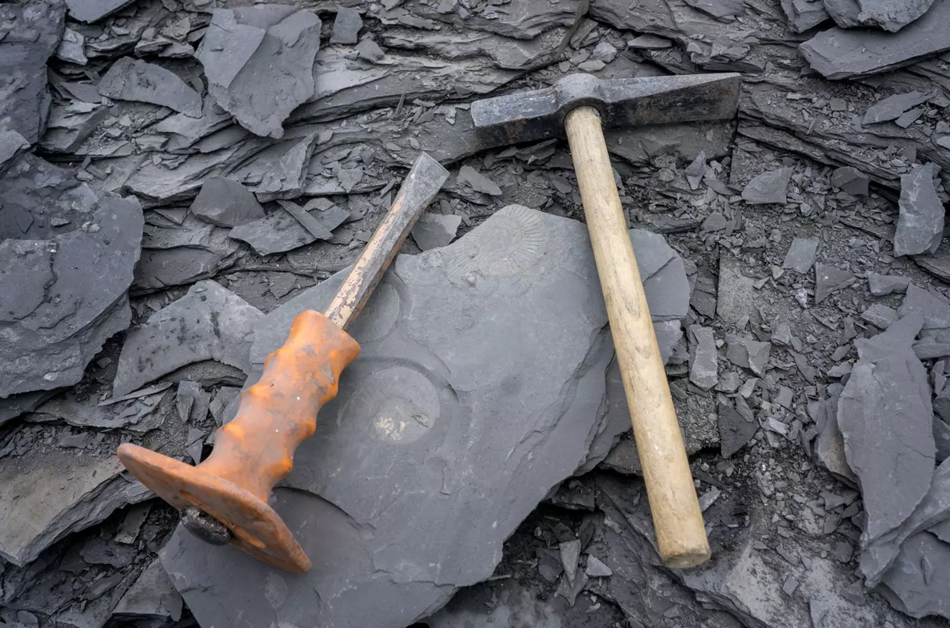 Objevy muzejních archeologů – deset let společné práce v Pavilonu Anthropos MZM